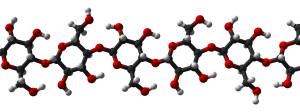 cellulose molecule